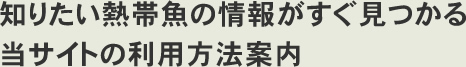 知りたい熱帯魚の情報がすぐ見つかる当サイトの利用方法案内