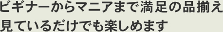 ビギナーからマニアまで満足の品揃え見ているだけでも楽しめます