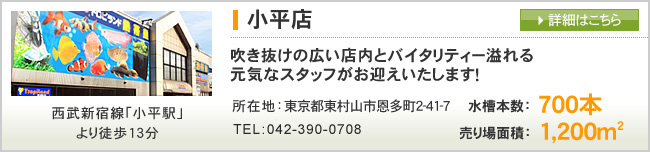 小平店